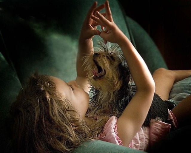 Funny picdump (111 pics)