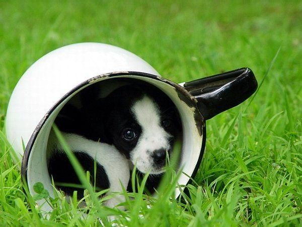 Funny picdump (111 pics)