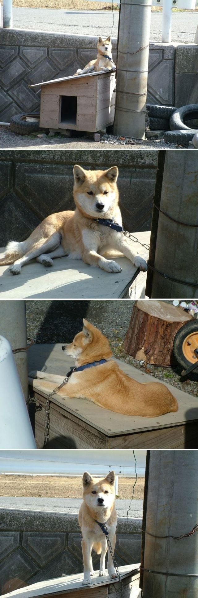 Funny picdump (111 pics)