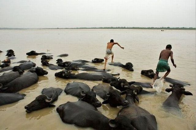 Funny picdump (86 pics)