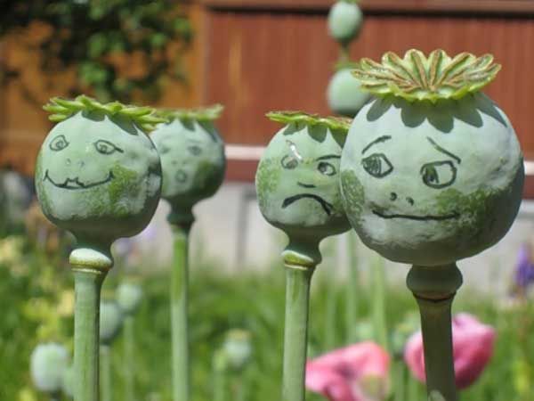 Funny picdump (86 pics)