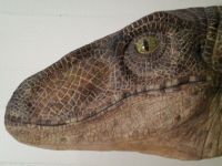 Curiosities and bonus pictures Curiosities and bonus pictures