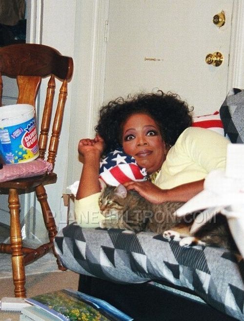 If celebrities were ordinary people (61 pics)