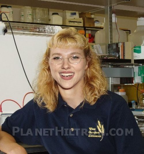 If celebrities were ordinary people (61 pics)