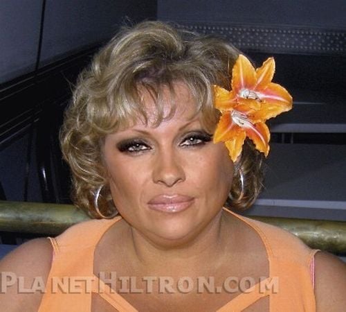 If celebrities were ordinary people (61 pics)