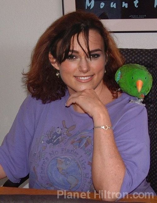 If celebrities were ordinary people (61 pics)