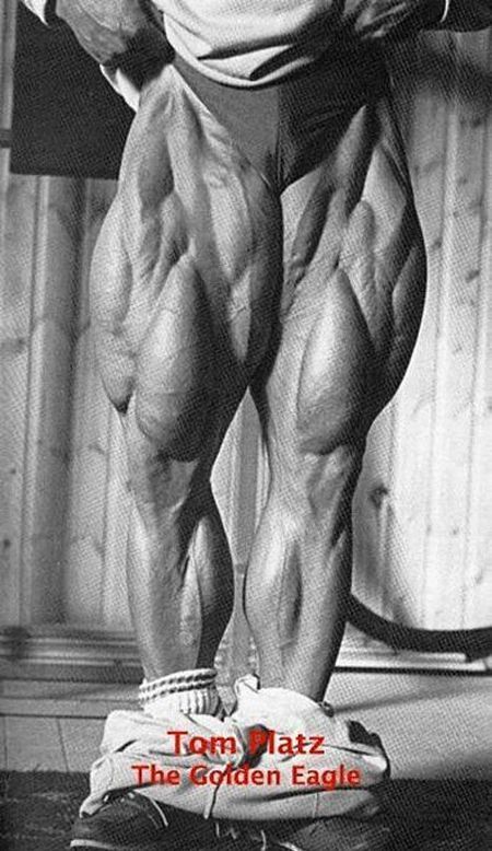 Mountains of muscles (47 pics)