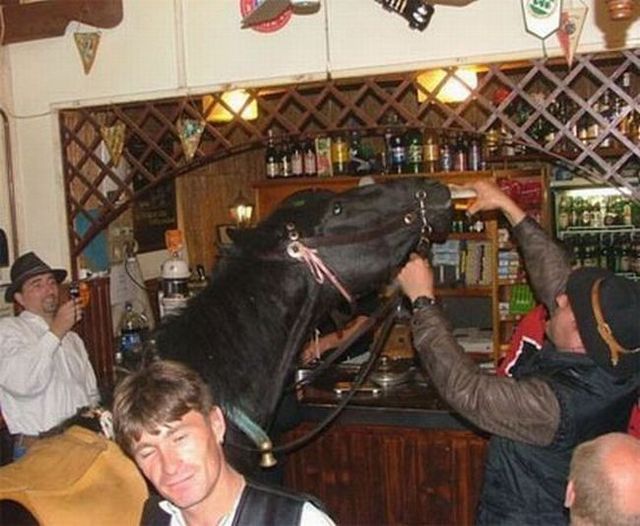 Daily picdump (89 pics)