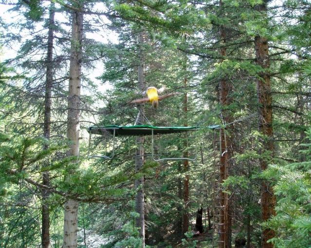 Daily picdump (86 pics)