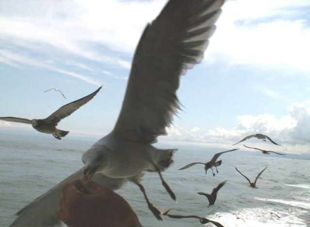 Daily picdump (86 pics)