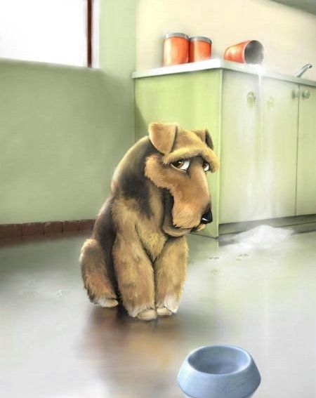 Daily picdump (86 pics)