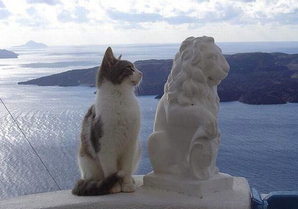 Daily picdump (86 pics)