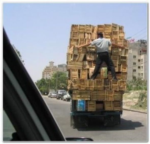 Daily picdump (86 pics)