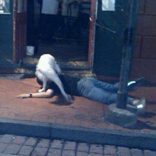 Do not drink too much ... (60 pics)