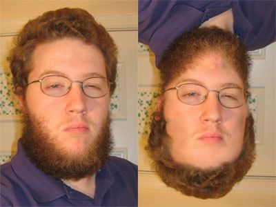 Curiosities and bonus pictures Curiosities and bonus pictures