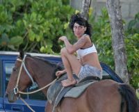 Curiosities and bonus pictures Curiosities and bonus pictures