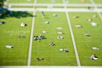 Curiosities and bonus pictures Curiosities and bonus pictures