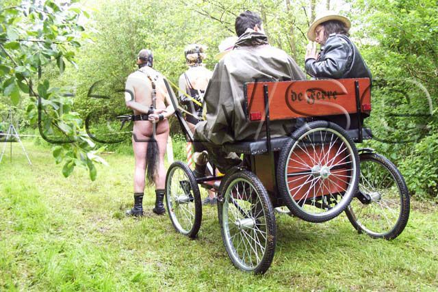 Let’s play - Pony (32 pics)