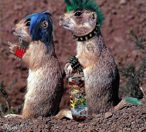 Daily picdump (96 pics)