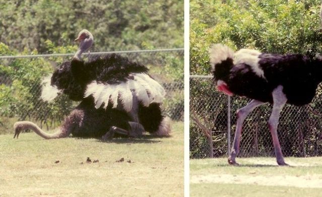 Daily picdump (96 pics)