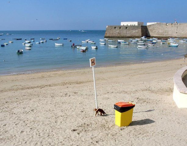 Daily picdump (96 pics)