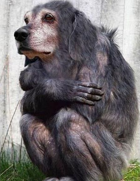 Daily picdump (96 pics)