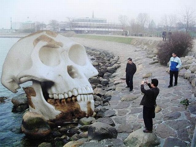 Daily picdump (96 pics)