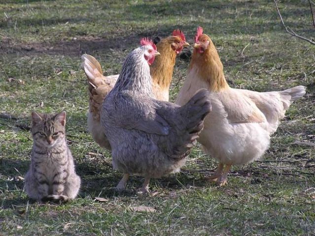 Daily picdump (96 pics)