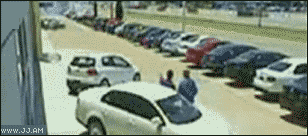 Collection of funny gif animations (53 gifs)