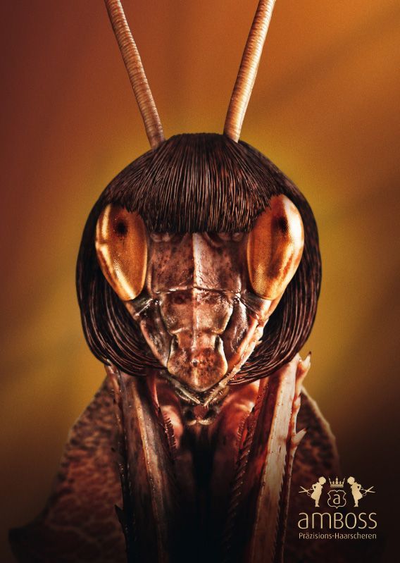 Daily picdump (119 pics)