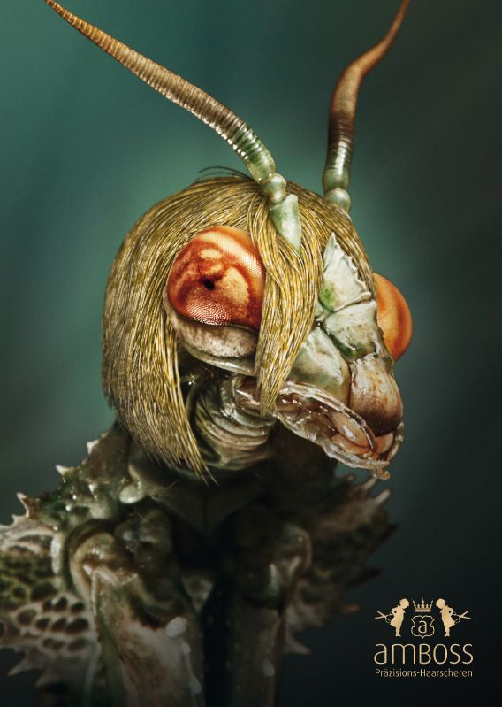 Daily picdump (119 pics)