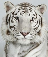 Curiosities and bonus pictures Curiosities and bonus pictures