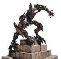 Curiosities and bonus pictures Curiosities and bonus pictures