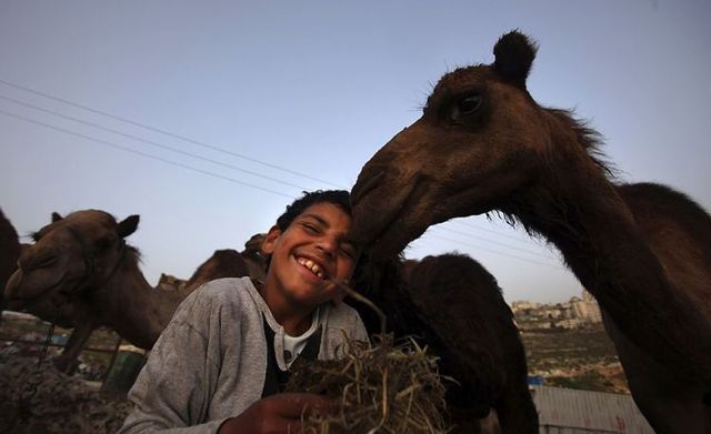 Daily picdump (104 pics)