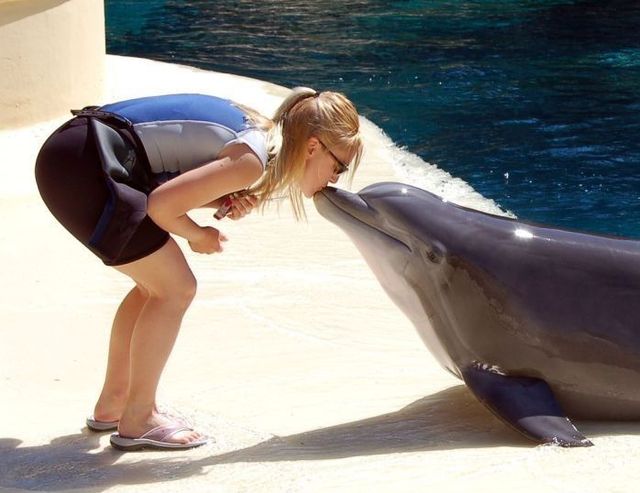 Daily picdump (104 pics)