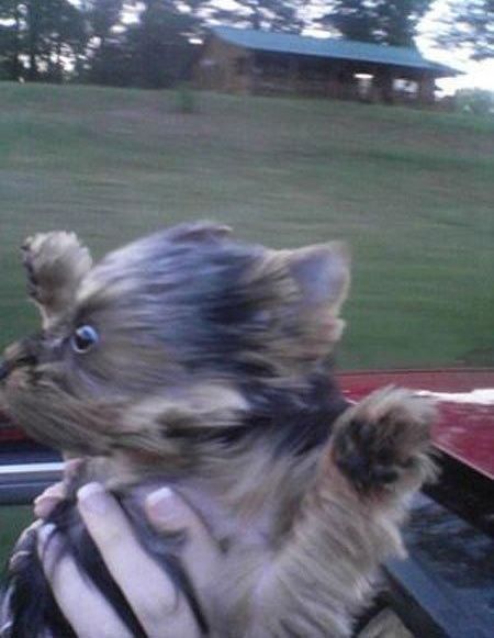 Daily picdump (104 pics)