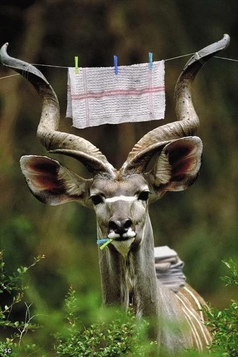 Daily picdump (104 pics)