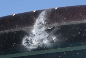 Curiosities and bonus pictures Curiosities and bonus pictures