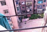 Curiosities and bonus pictures Curiosities and bonus pictures