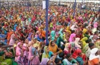 Curiosities and bonus pictures Curiosities and bonus pictures