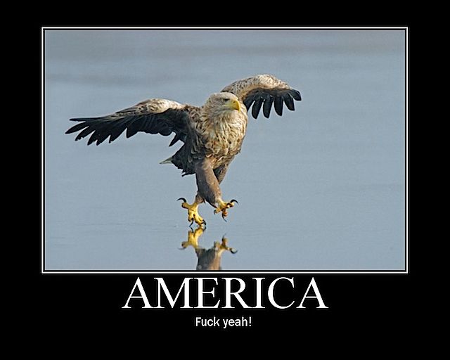 Daily picdump (107 pics)