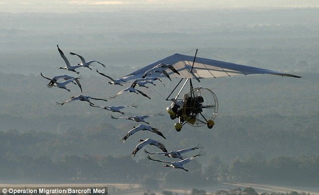 Daily picdump (107 pics)