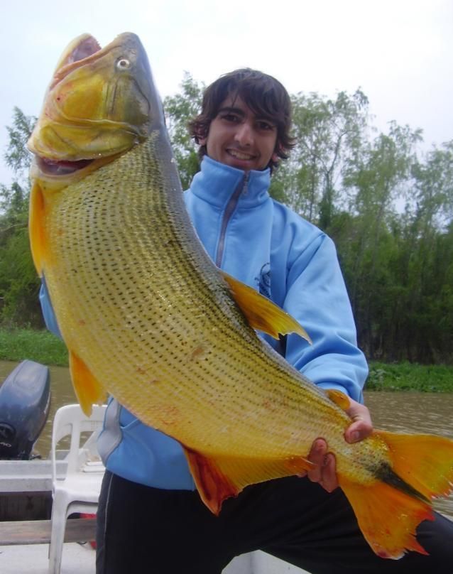 Daily picdump (107 pics)