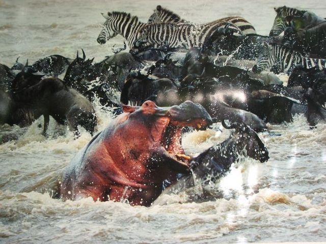 Daily picdump (107 pics)