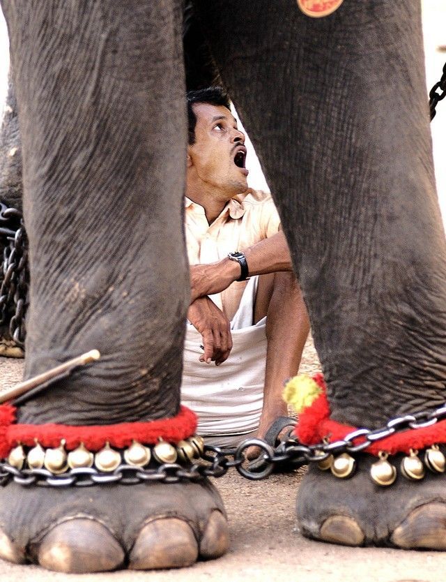 Daily picdump (107 pics)