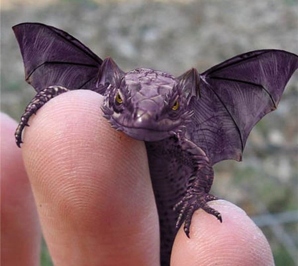 Daily picdump (107 pics)