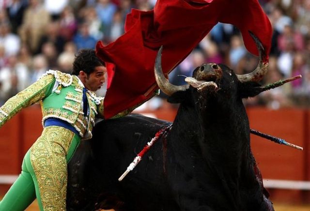 Daily picdump (107 pics)