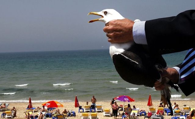 Daily picdump (122 pics)