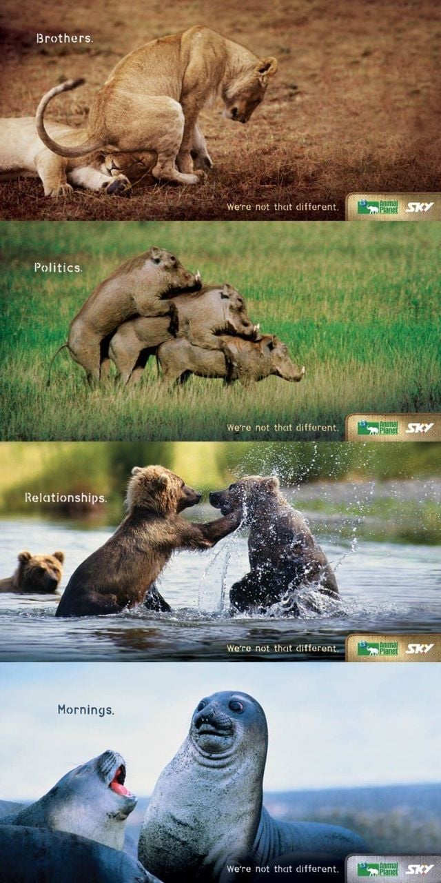 Daily picdump (122 pics)