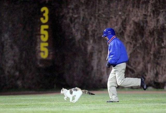 Daily picdump (122 pics)